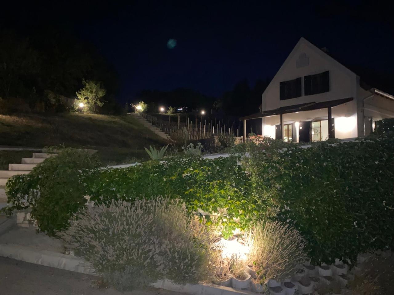 Borbora Borhaz Villa Vaszoly Exterior photo