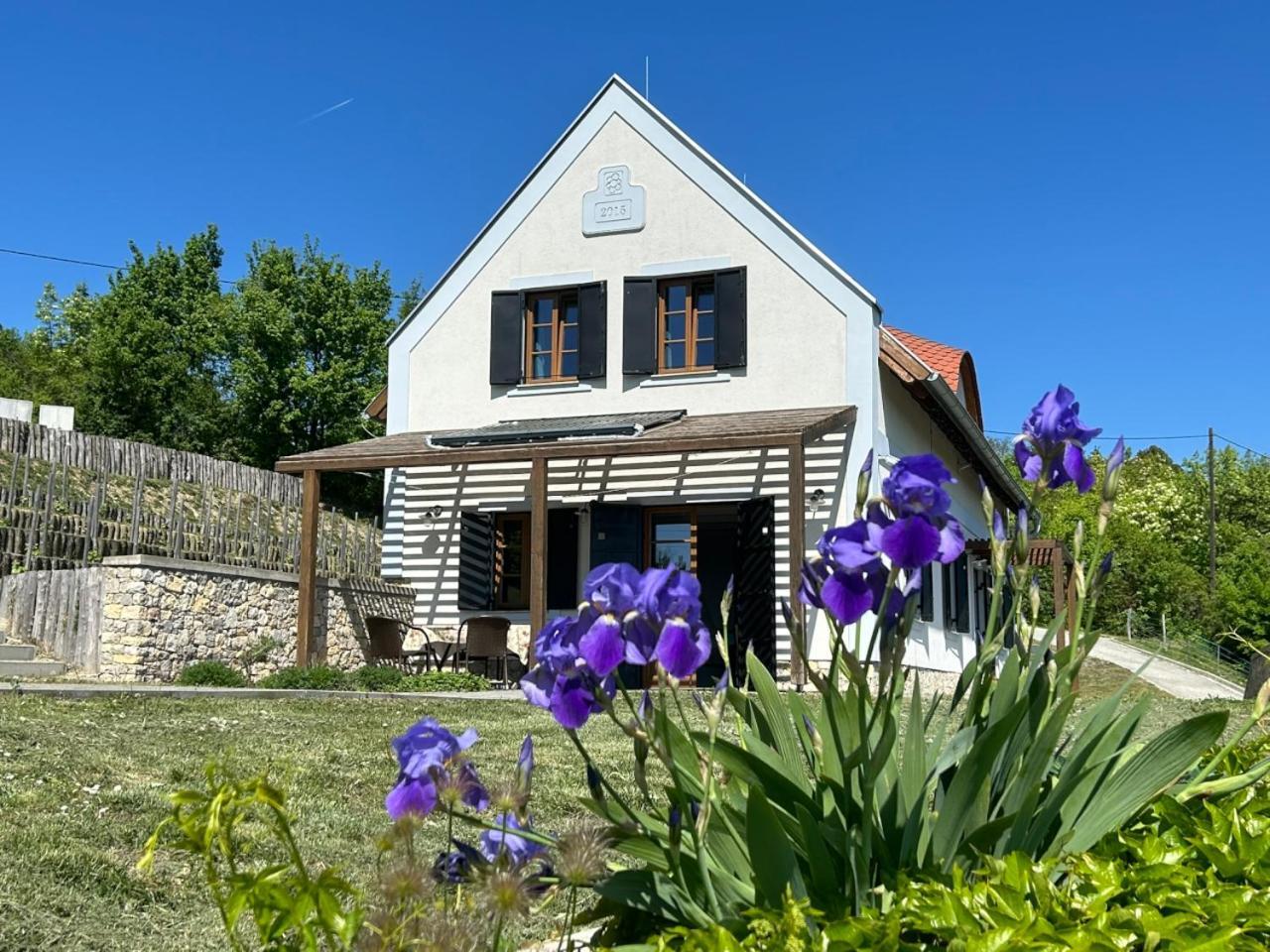 Borbora Borhaz Villa Vaszoly Exterior photo